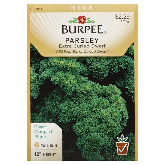 Burpee Parsley Extra Curled Dwarf Seeds