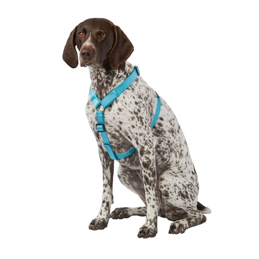 Top Paw® Gunmetal Adjustable Dog Harness (Color: Blue, Size: Medium)