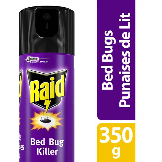 Raid Bed Bug Insect Killer Spray (350 g)