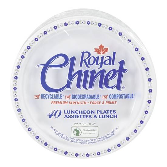 Royal chinet assiettes de papier rondes à motifs de 22,2 cm (40 un) - lunch plates (40 units)
