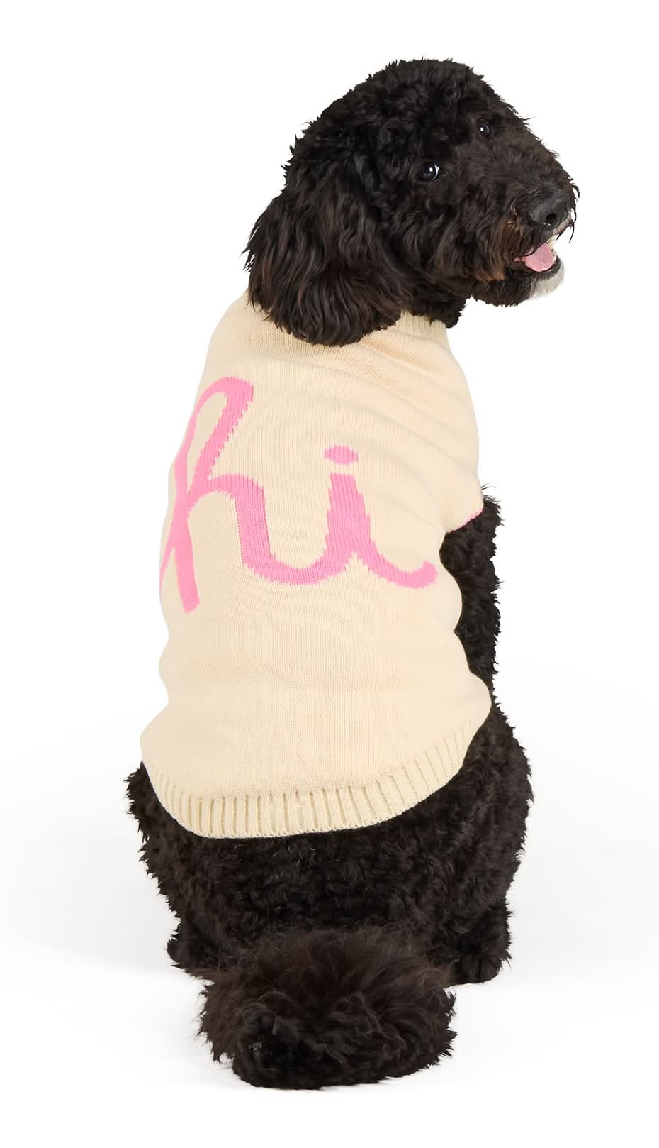 Top Paw® Hi Dog Sweater (Color: Multi Color, Size: Medium)