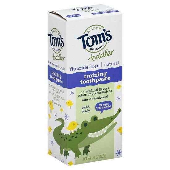 Tom's Of Maine Toddler Mild Fruit Training Toothpaste (1.8 oz)