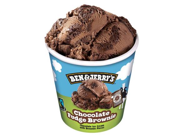 Chocolate Fudge Brownie - Ben & Jerry's™