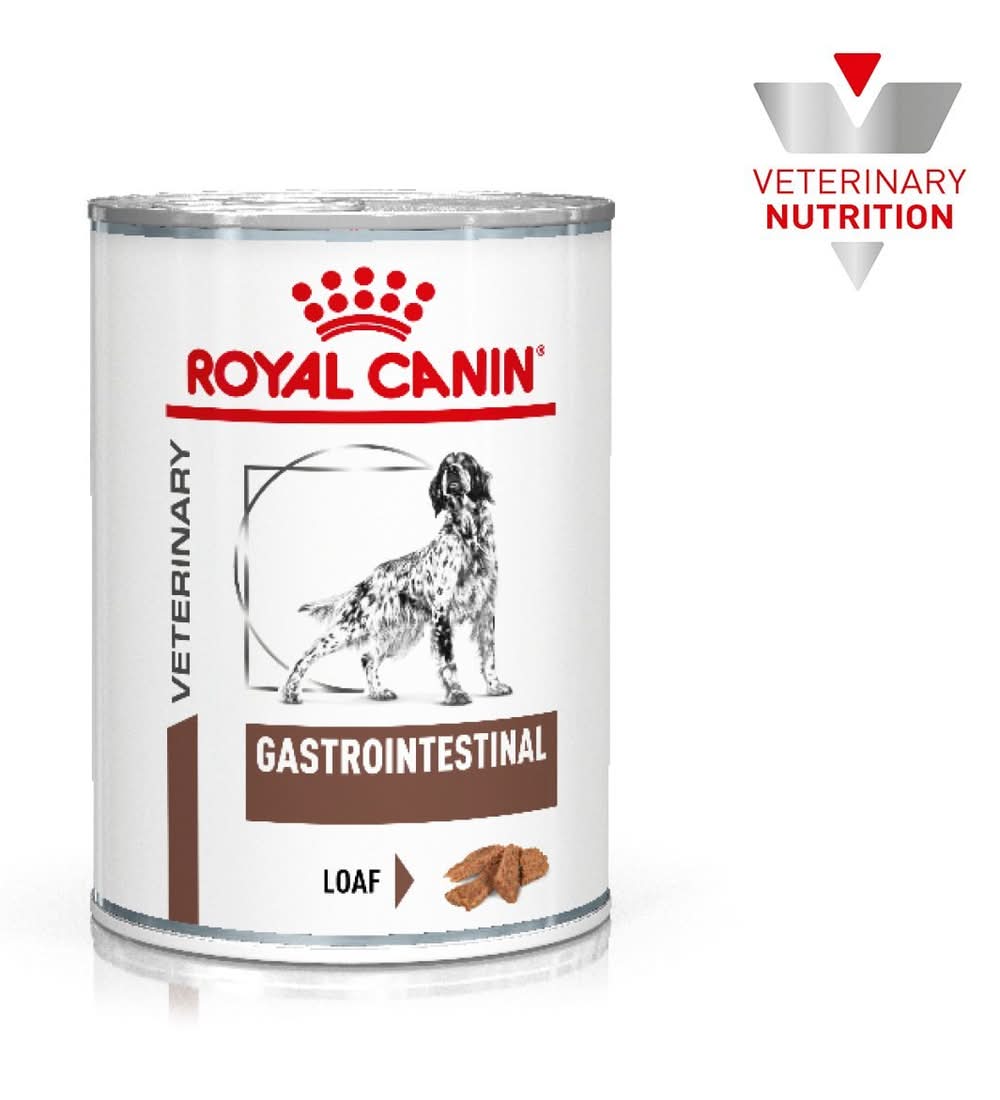 Royal Canin · Alimento húmedo gastrointestinal dietético en lata para perros, Adulto (385 g)