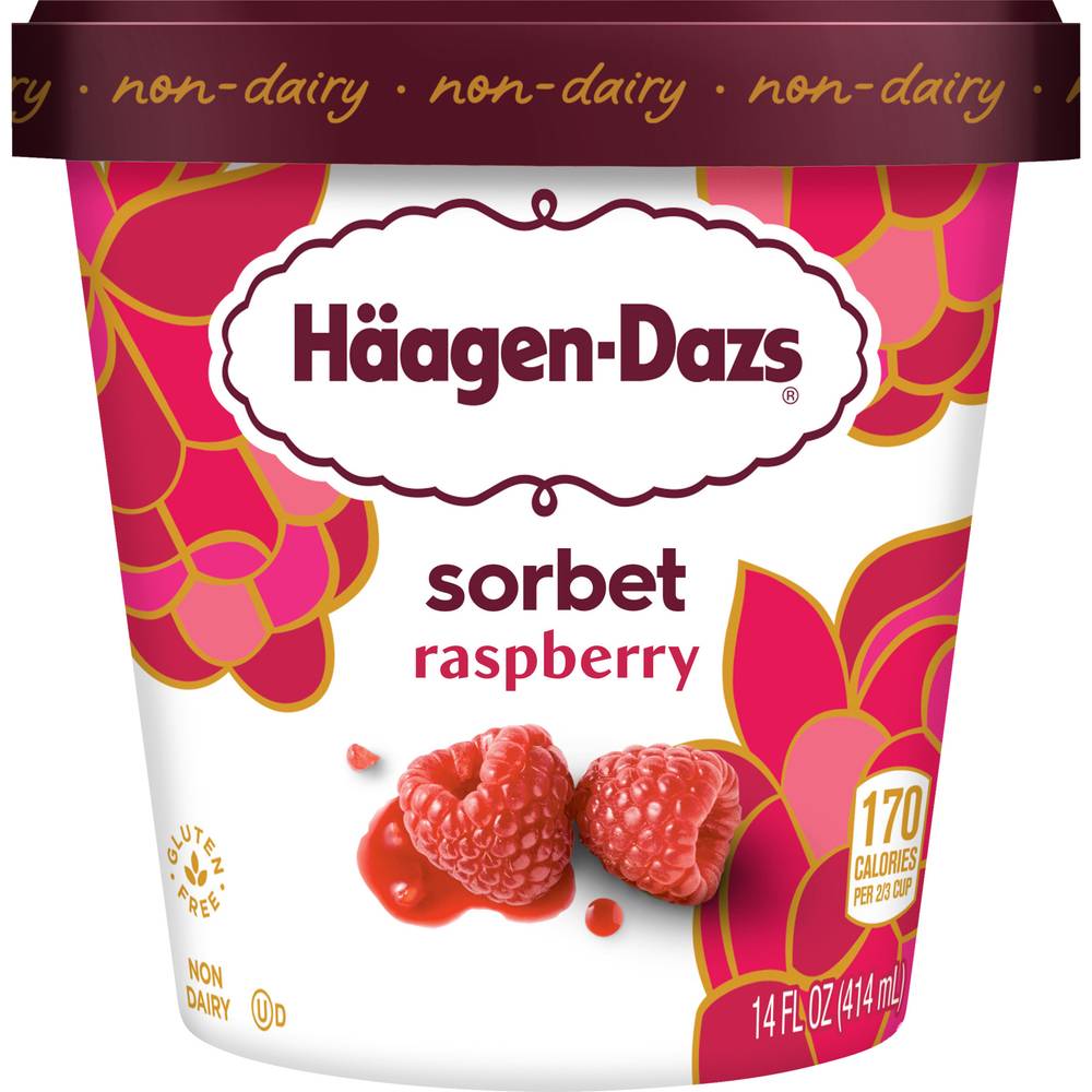 Häagen-Dazs Gluten Free Raspberry Sorbet Ice Cream