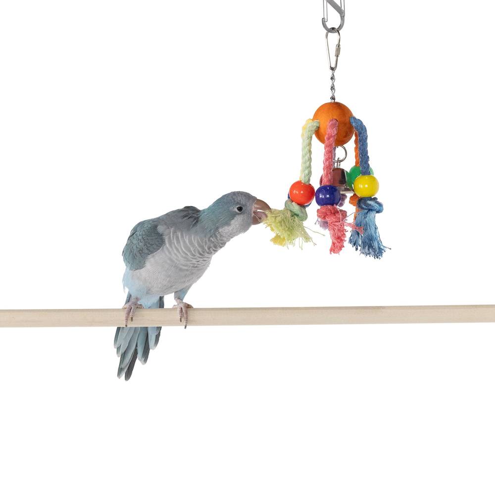 All Living Things® Rope Spider Bird Toy