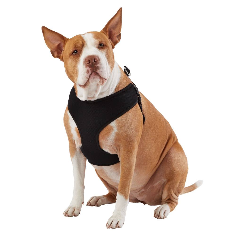 Top Paw® Mesh Comfort Dog Harness (Color: Black, Size: 2X Small)