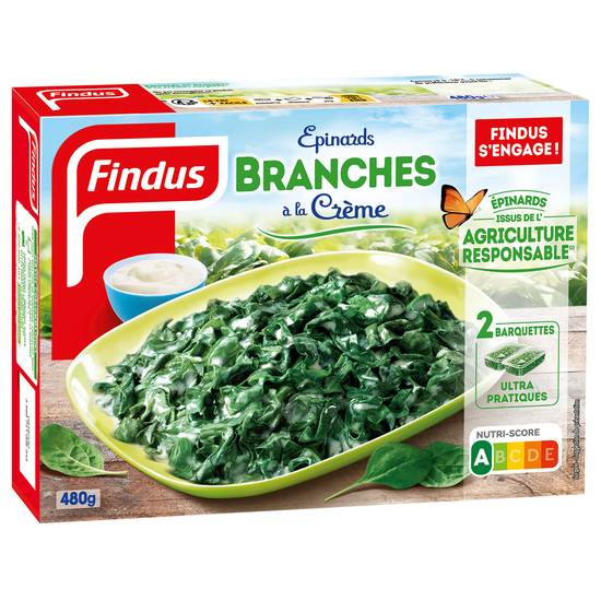 Findus - Légumes cuisinés épinards branches à la crème (2 pièces)