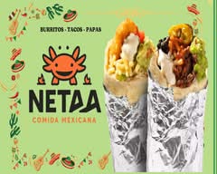 NETAA Comida Mexicana (Valparaiso)