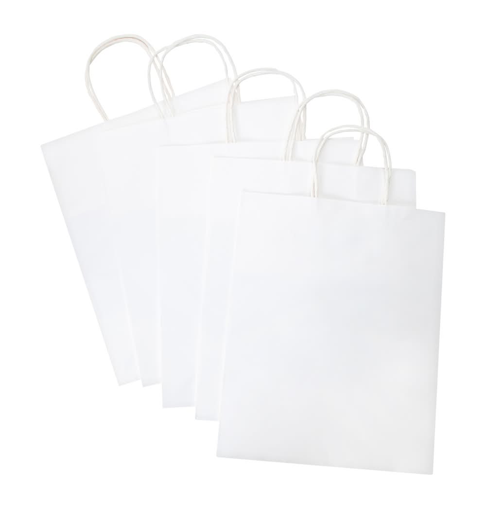 Kraft Gift Bags 5-Count White