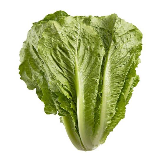 Laitue romaine (vendu individuellement) - romaine lettuce (1 unit)
