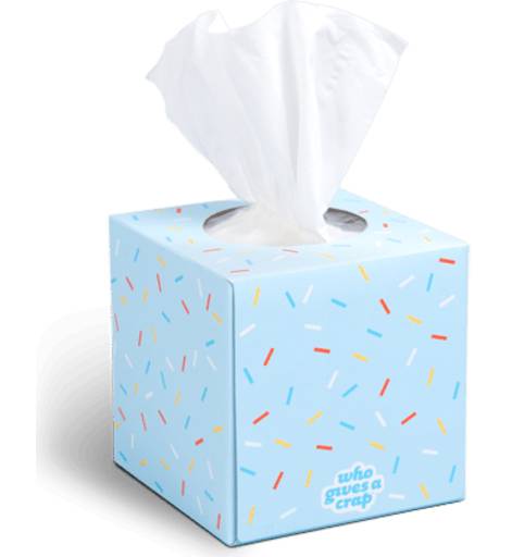 Who Gives A Crap Facial Tissues, 65 Sheets