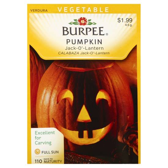 Burpee Pumpkin Jack-O'-Lantern Seeds
