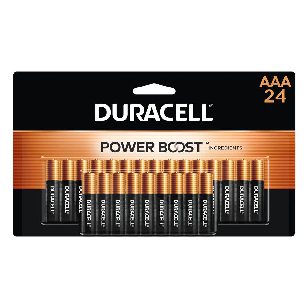 Duracell Copper Top Alkaline AAA Batteries (24-Pack) | 00041333002323