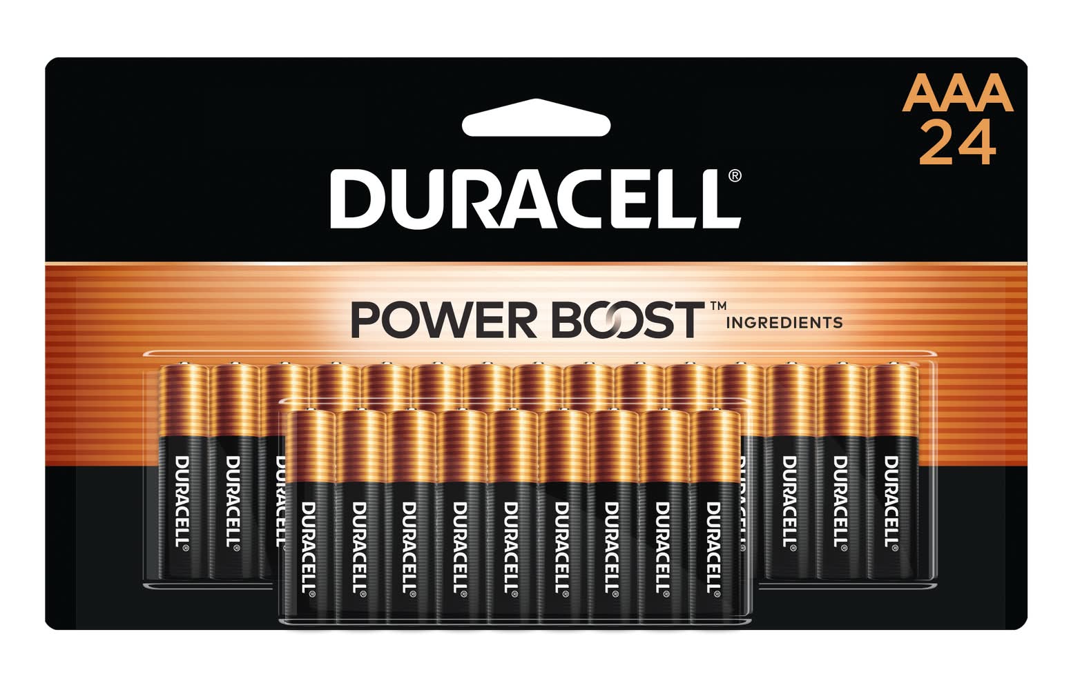 Duracell Copper Top Alkaline AAA Batteries ( 24 -Pack)