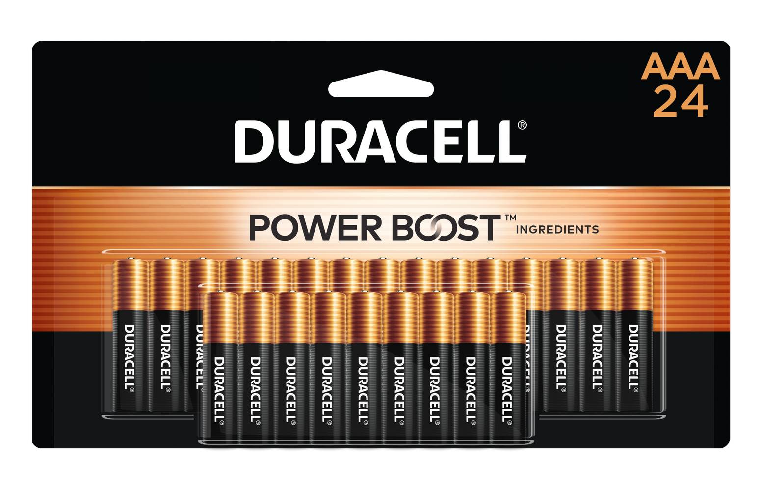 Duracell Copper Top Alkaline AAA Batteries ( 24 -Pack) | 00041333002323