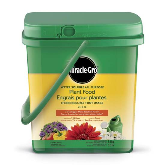 Miracle-Gro Water Soluble All Purpose Plant Food 24-8-16 (1.5 kg)