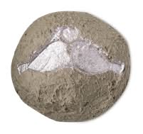 Lovey Dovey Fresh Cleanser 3.5oz