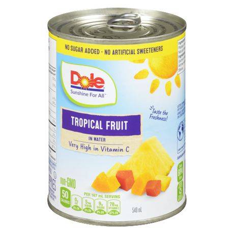 Dole Tropical Fruit Salad in Water (540 ml)