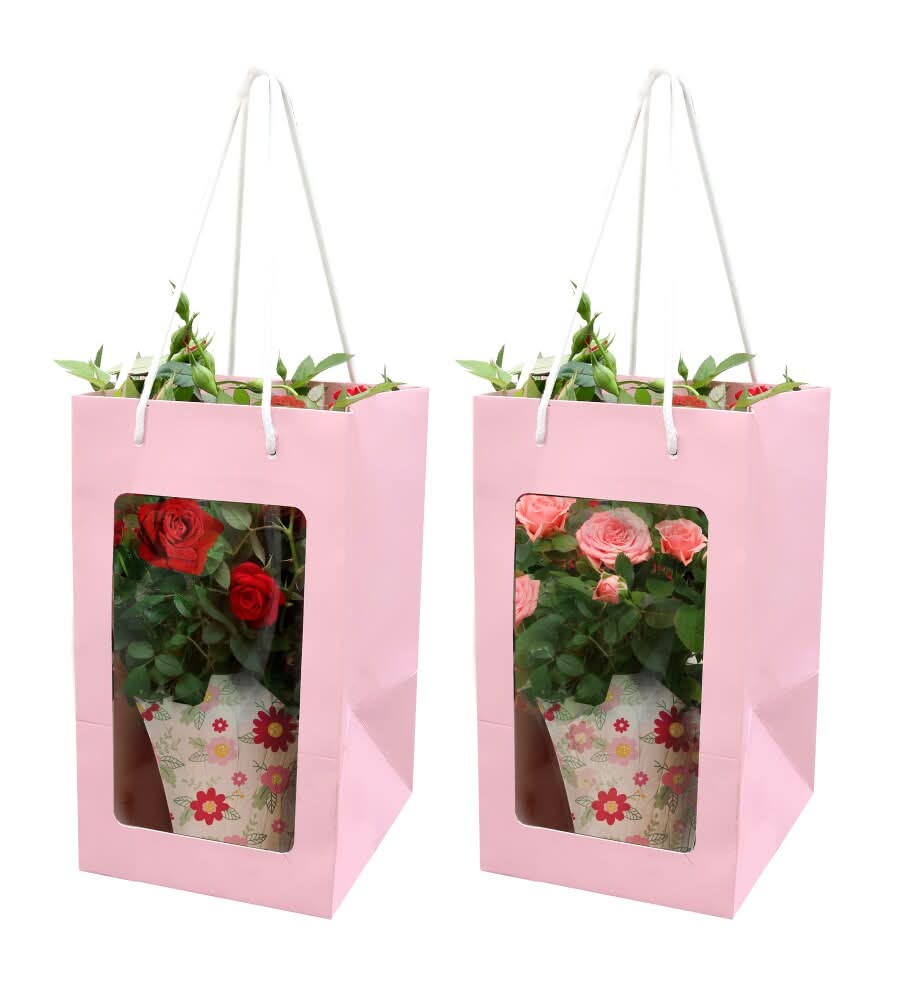 Mini Rose in Gift Bag
