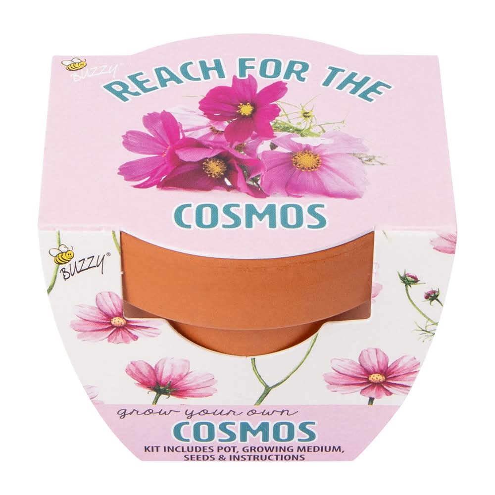 Mini Grow Your Own Plant Pot Kit Cosmos