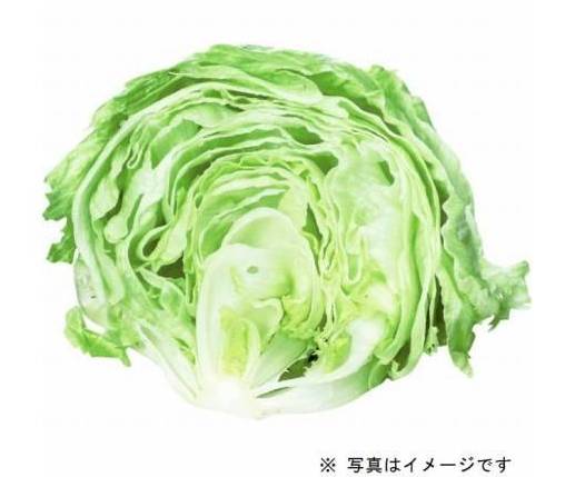 レタス（1カット・半割）