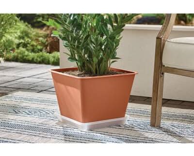 money tree soil mix GARDENERA Money Tree Potting Soil - 10 QUART