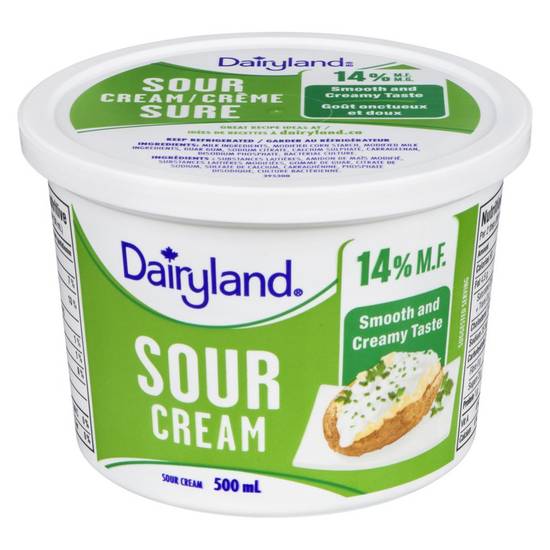 Dairyland Sour Cream (500 ml)
