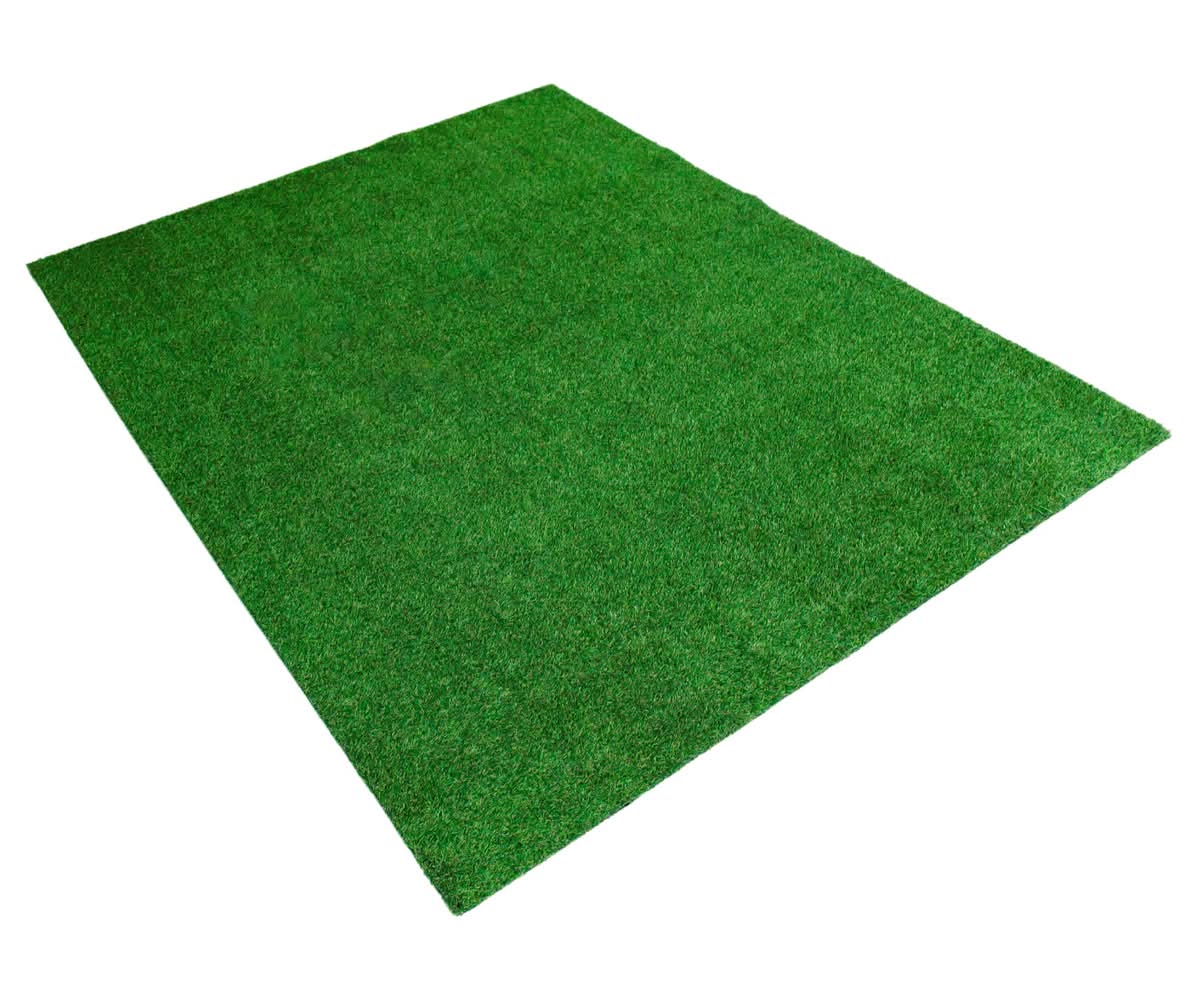 Style Selections Artificial grass Event 6-ft x 8-ft Artificial Grass