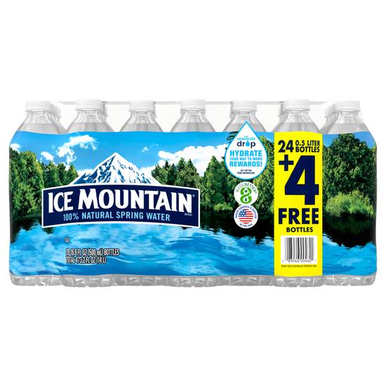 Ice Mountain Spring Water Casepack (28-16.9)