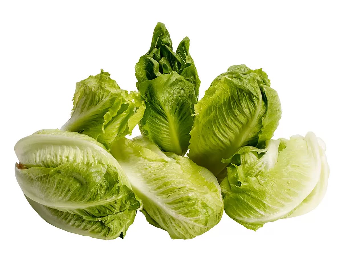 Lechuga dulce sucrine (6 un)