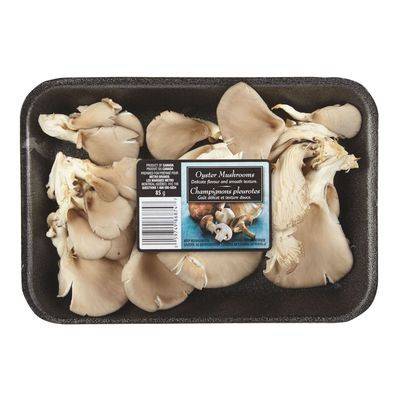 Pleurotes (85 g) - Oyster mushrooms (85 g)