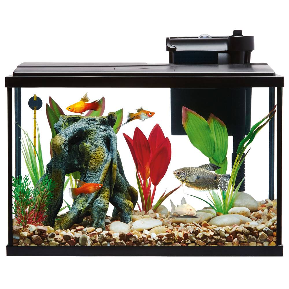 Top Fin® Essentials Aquarium Starter Kit (Size: 5 Gal)