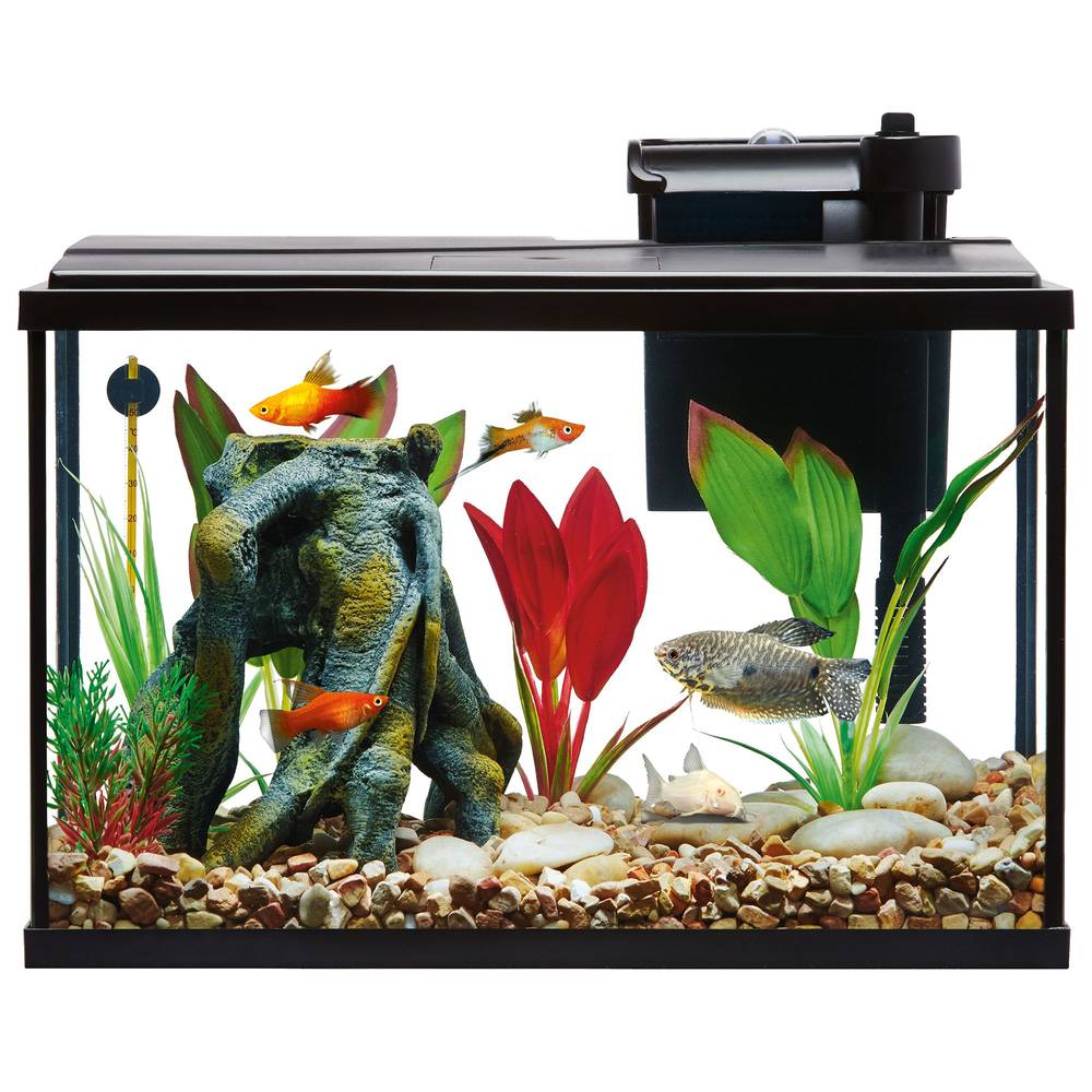 Top Fin Essentials Starter Kit Desk Aquarium (5 gal)