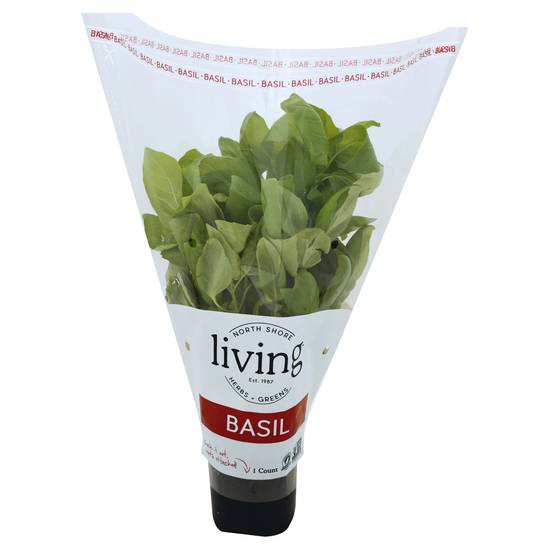 North Shore Living Herbs Basil (1 plant)