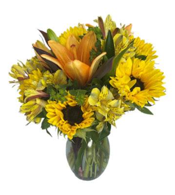 Designers Choice Mixed Arrangement - Each (Colors May Vary)