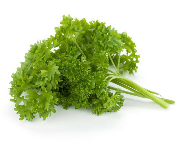 Curly Parsley