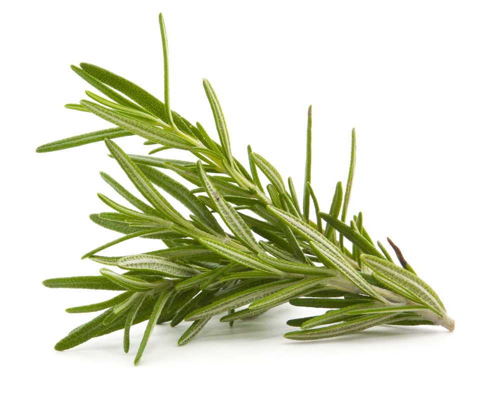 Organic Rosemary