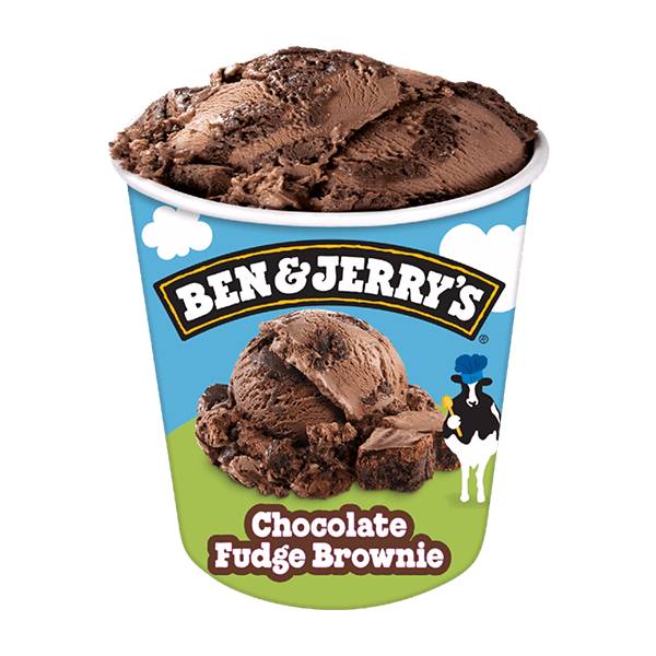 Ben & Jerry's Chocolate Fudge Brownie Ice Cream 16oz