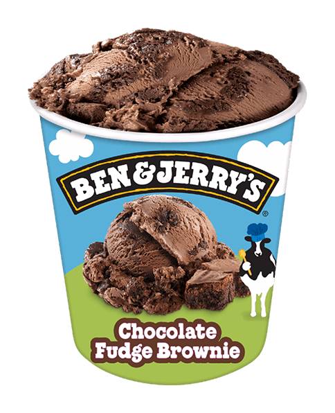 Ben & Jerry's Chocolate Fudge Brownie Ice Cream 16oz