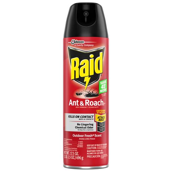 Raid Ant & Roach Killer, Outdoor Fresh Scent, 17.5 OZ
