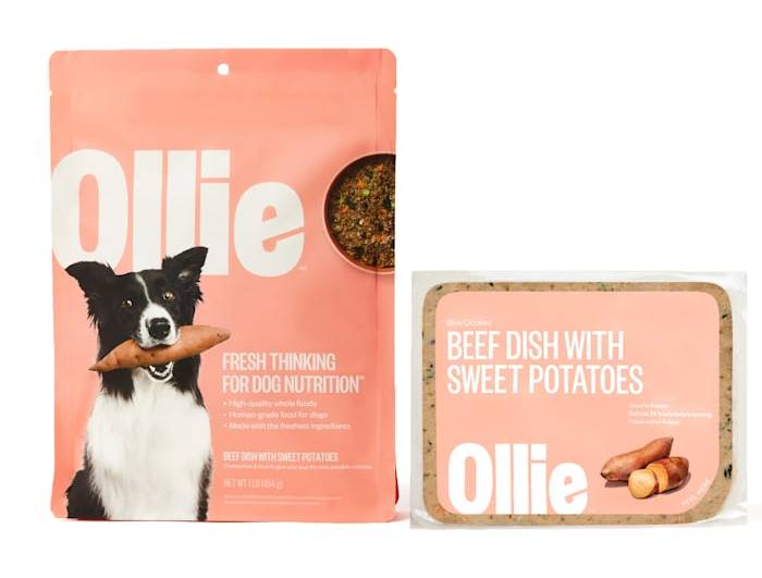purina one dog foods Purina ONE SmartBlend Large Breed Adult Formula Dry Dog Food (16.5 lb)