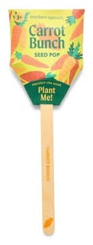 Modern Sprout Carrot Green Garden Seed Starter Kit