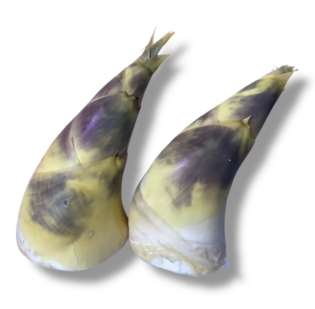 本地綠竹筍_約250-320g (2號攤-順昌果菜行/A004-8)