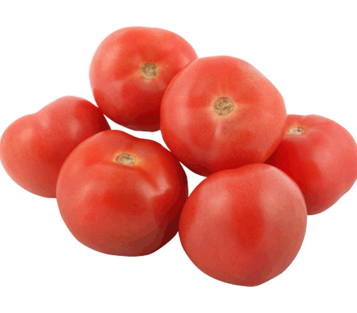 Tomate larga vida (unidad)