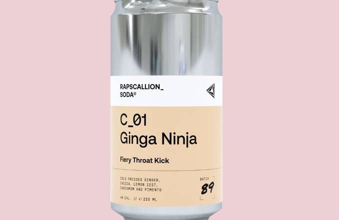 Rapscallion Soda - Ginga Ninja