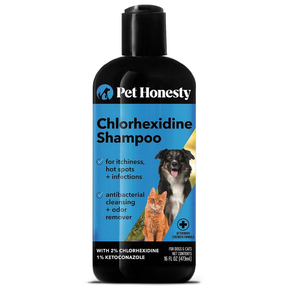 Pet Honesty Chlorhexidine Antibacterial Cleansing + Odor Remover Dog and Cat Shampoo (16 fl oz)