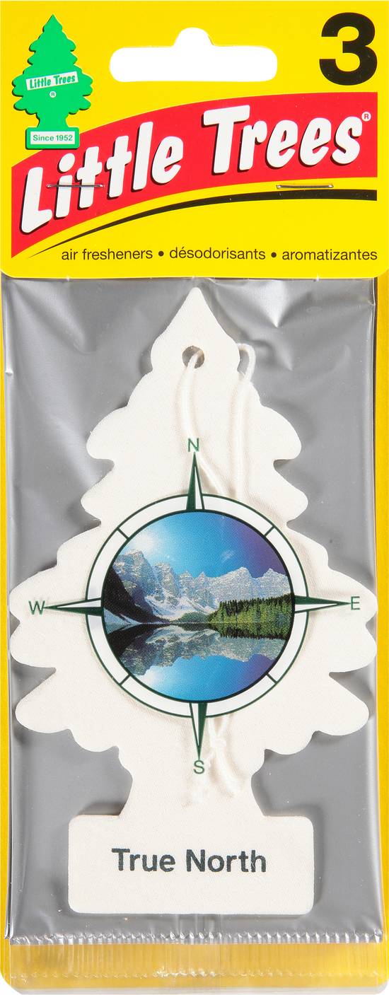 Little Trees True North Scent Air Fresheners ( 3 ct), Delivery Near You