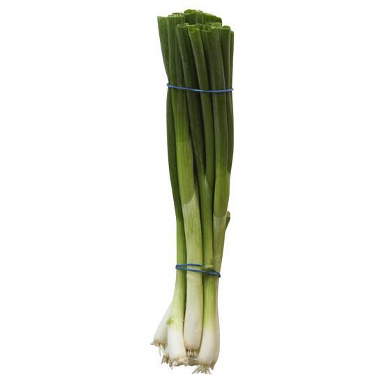 Organic Green Onion Bunch