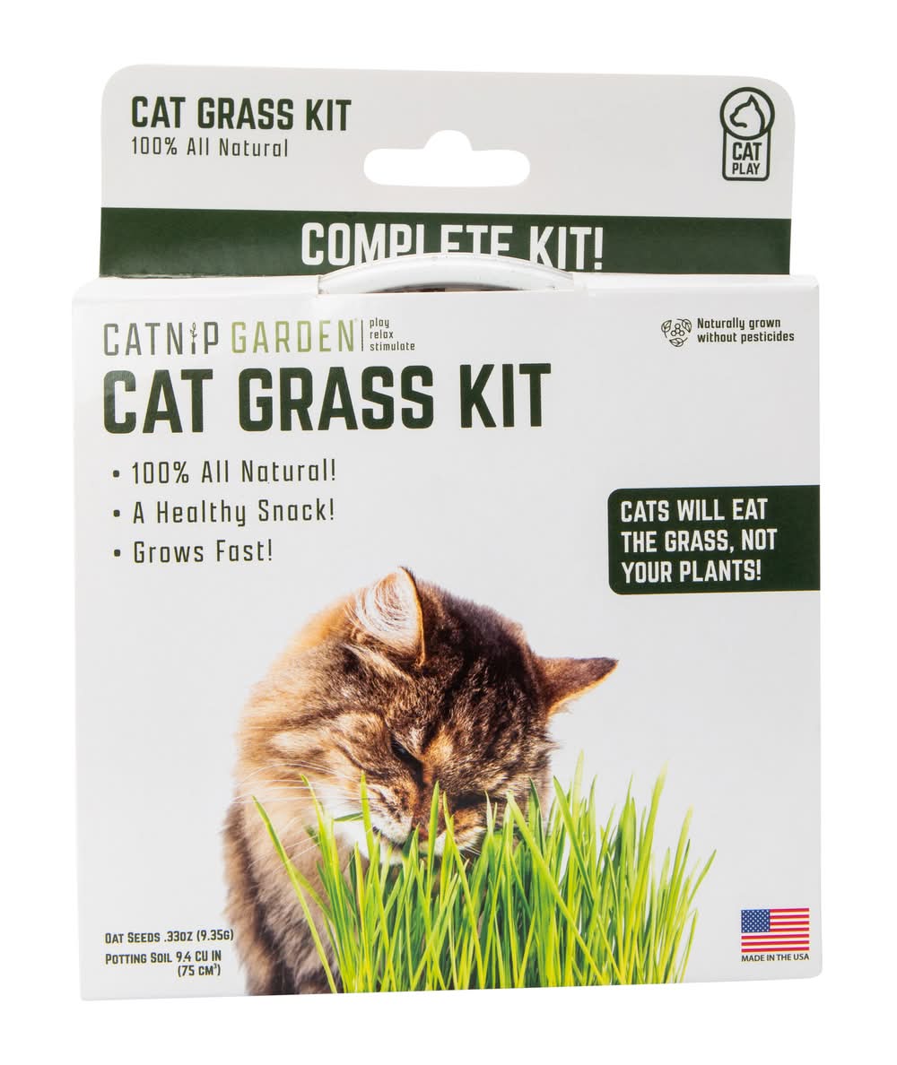 Catnip Garden Cat Grass Kit